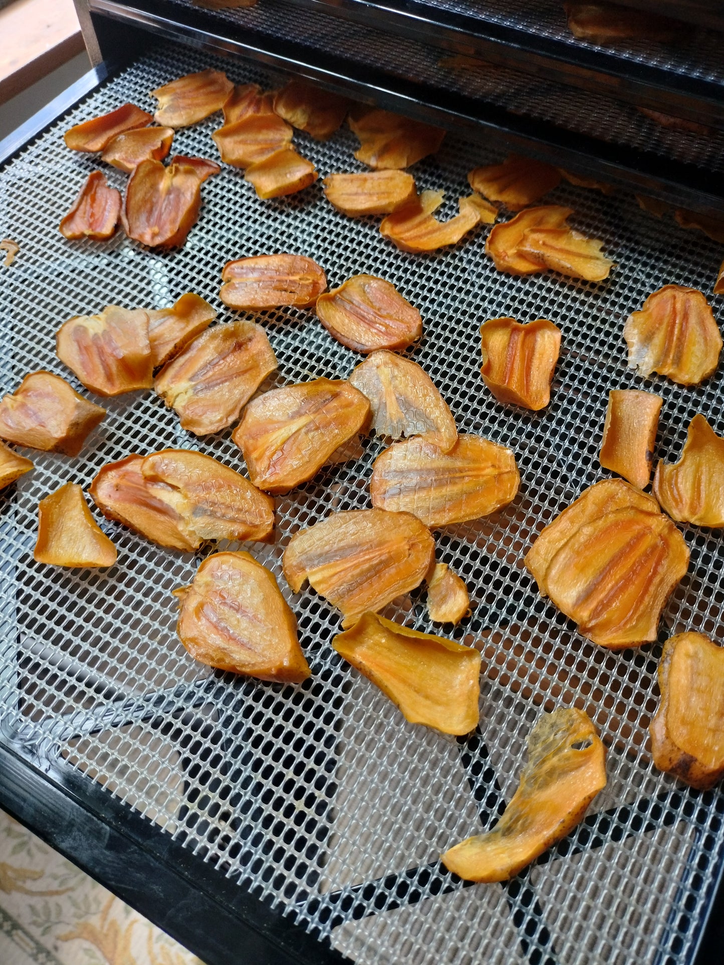 'Saijo' Persimmon