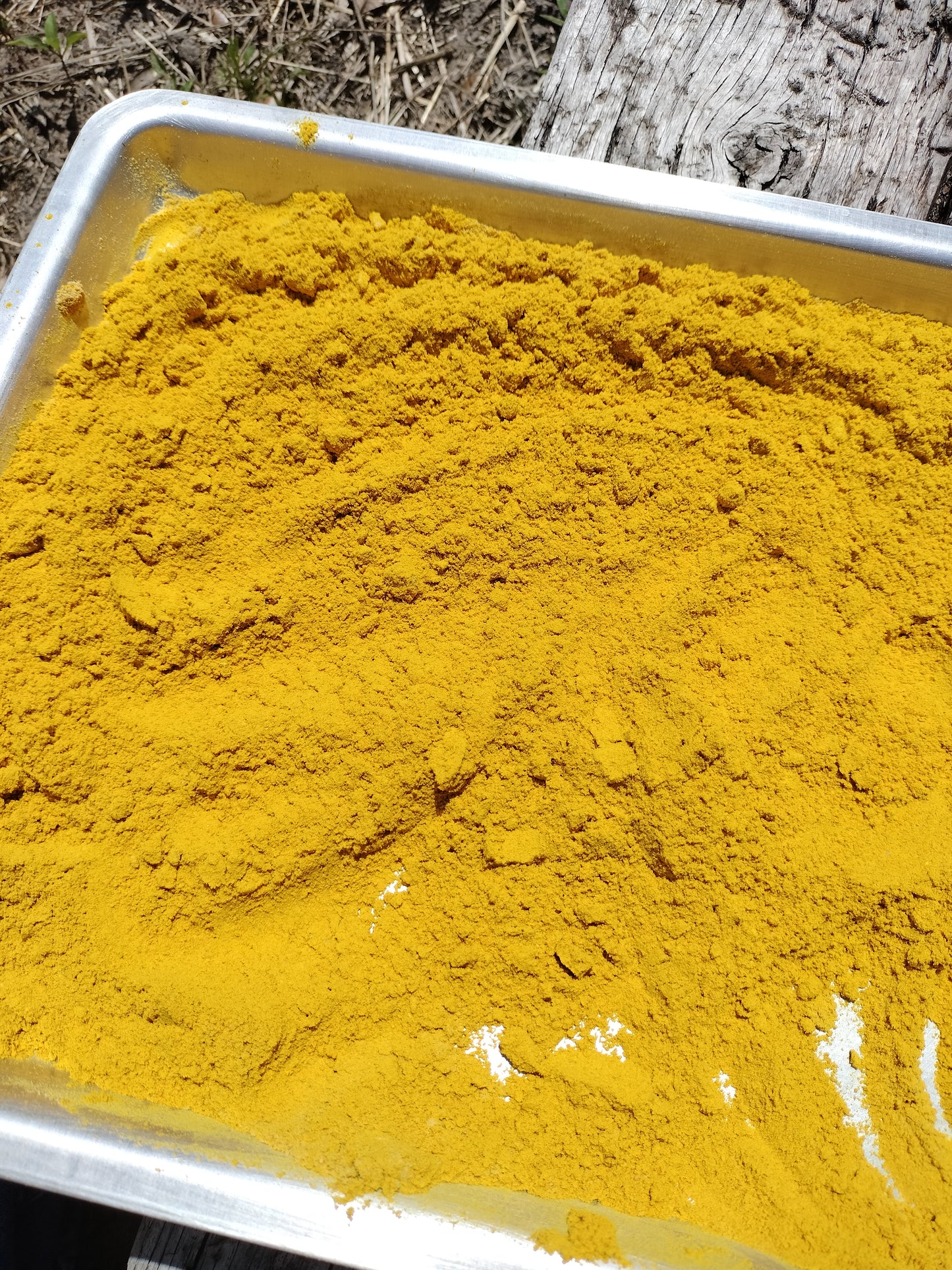 Turmeric Powder